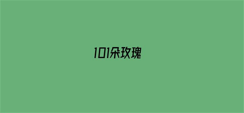 101朵玫瑰