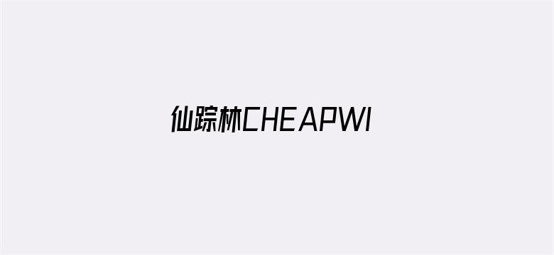 >仙踪林CHEAPWINDOWSVPS横幅海报图