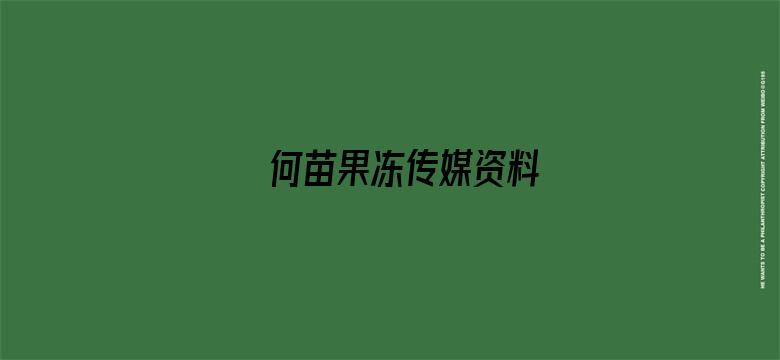 >何苗果冻传媒资料横幅海报图