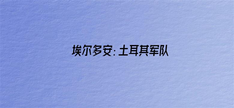 埃尔多安：土耳其军队击毙IS头目