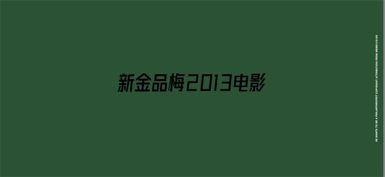 >新金品梅2013电影横幅海报图